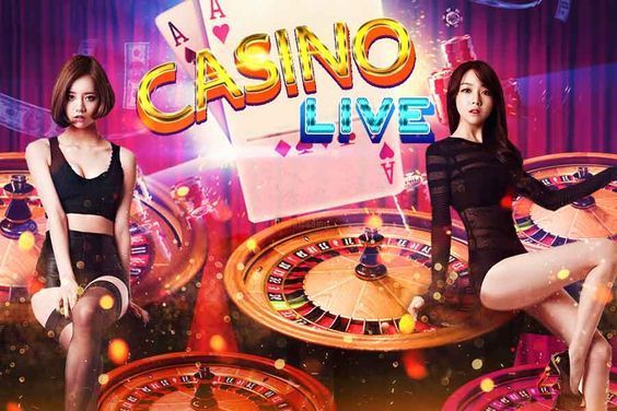 Suncoast Casino app Live Betting