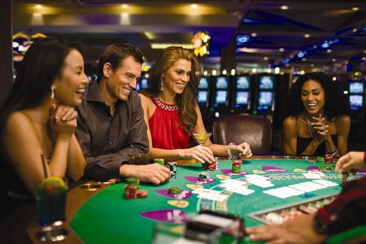 Suncoast Casino app Live Betting